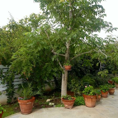 Sunny Garden Studio Hotell Nikosia Eksteriør bilde