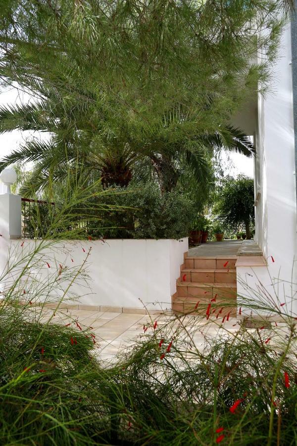 Sunny Garden Studio Hotell Nikosia Eksteriør bilde