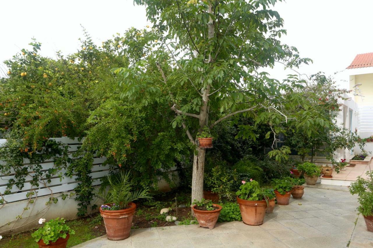 Sunny Garden Studio Hotell Nikosia Eksteriør bilde